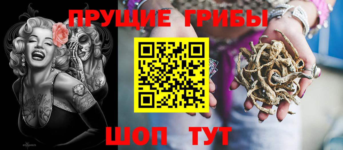 где можно купить наркотик  Вход с VPN  Сухой Лог  Галлюциногенные грибы Magic Shrooms  Псилоцибиновые грибы мицелий 